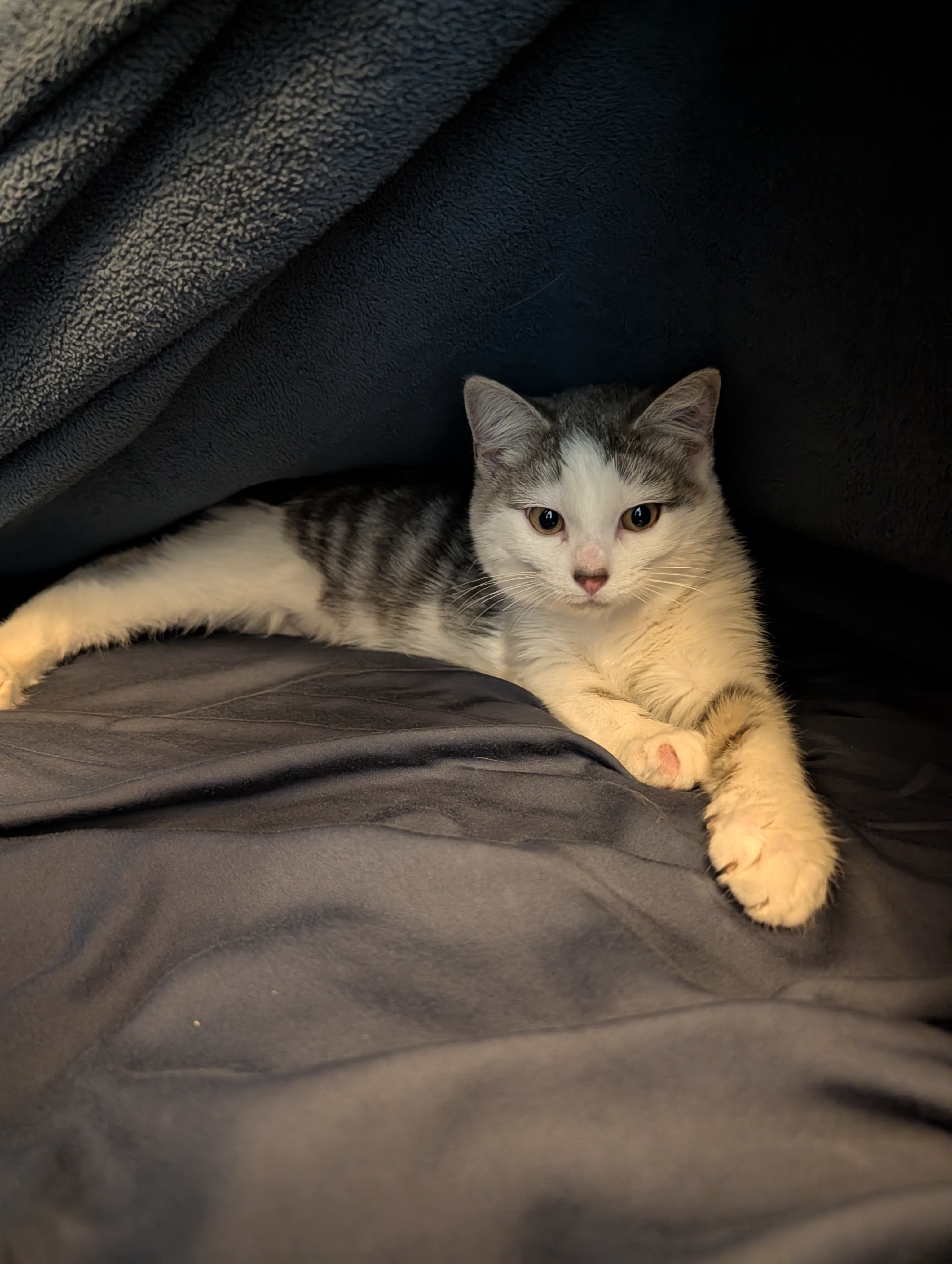 Princess Willow discovering the bed